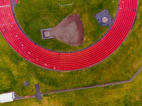 Le rôle du coach en musculation